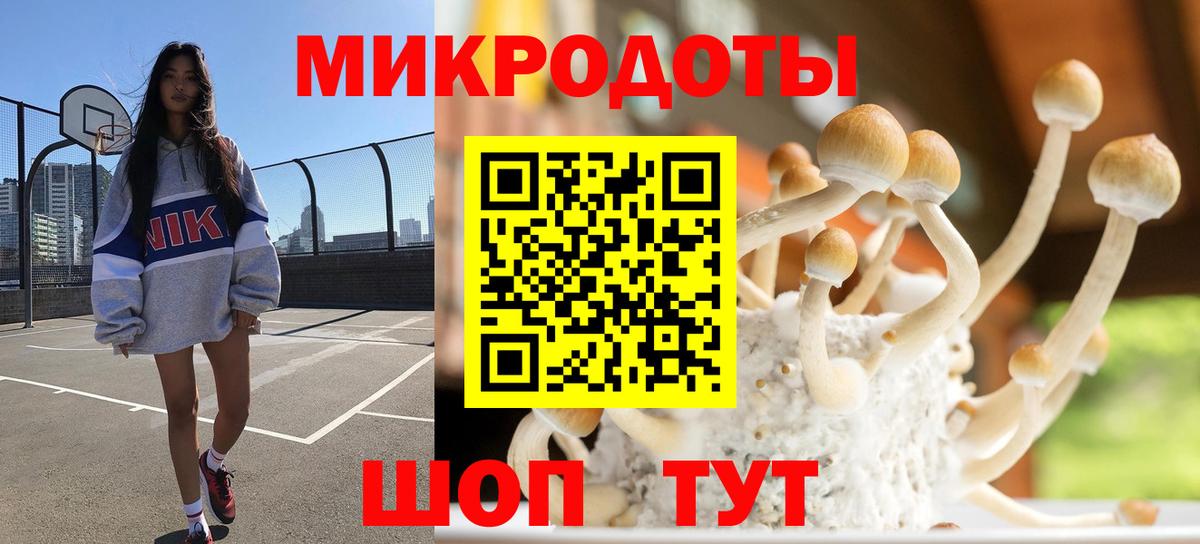 Сергиев Посад  Псилоцибиновые грибы Psilocybe  Вход с VPN 